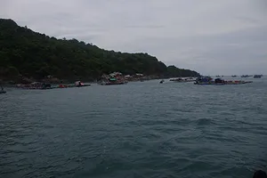 Cứu được nhiều ngư dân gặp nạn trên biển