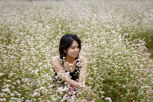 Thưởng thức vẻ đẹp tam giác mạch trên phiến đá tai mèo