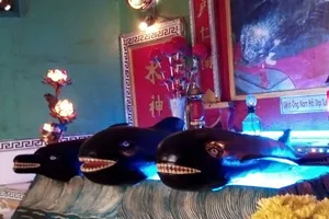 Linh thiêng nghĩa trang cá Ông lớn nhất Việt Nam