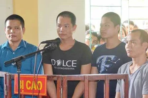 Chặt phá rừng, bốn bị cáo lĩnh 19 năm tù