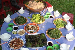 Kết nối tour, quảng bá du lịch Ba Tơ 