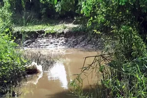 Hàng chục cảnh sát truy bắt 'yêu râu xanh' dìm chết người phụ nữ