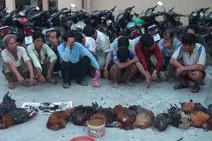 Hai ngày triệt phá 2 điểm đá gà, bắt giữ 25 đối tượng
