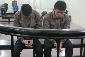 Vận chuyển ma túy thuê giá 2 triệu, lãnh án chung thân