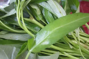 Rau muống bị tưới nhớt, ngâm hóa chất gây hại gì?