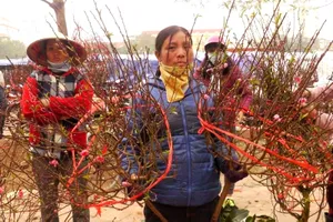 Đến chợ hoa xót xa cho người trồng hoa...