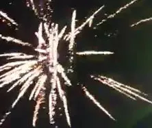 Chưa xử lý vụ bắn pháo hoa ở tiệc cưới con đại gia