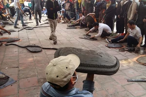 Pháo đất, môn quyền đặc biệt của nông dân Tiên Lãng