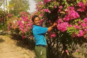 Đọc gì trên báo Pháp Luật Chủ nhật số ra ngày 13-3-2016?