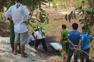 Phát hiện người đàn ông chết cháy trong bụi rậm ven đường