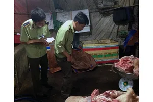 1 cơ sở kinh doanh heo chết bị phạt 50 triệu đồng