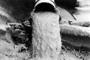 Cá chết ở miền Trung: Giật mình sự kiện khủng khiếp vịnh Minamata