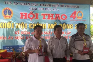 TP.HCM: Tòa án các quận tổ chức hội thao khối Nội chính mở rộng