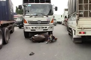 2 bà cháu lọt gầm xe tải, thoát chết trong gang tấc