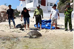 Một cán bộ Vườn quốc gia Núi Chúa bị đâm thiệt mạng