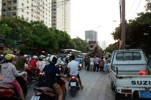 Va chạm xe trộn bê tông, nữ sinh lớp 8 tử vong tại chỗ