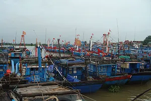 Cấm tàu thuyền xuất bến trước áp thấp nhiệt đới gần bờ