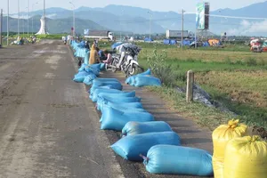 Phơi thóc trên quốc lộ có nên thông cảm?