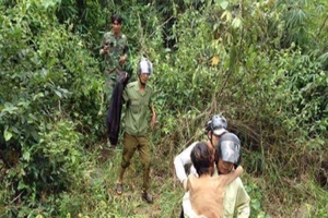 Thanh niên sống sót sau 4 ngày lạc trong rừng sâu 