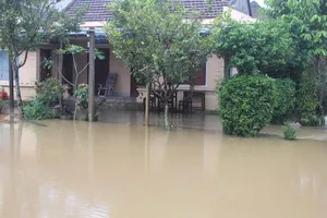 Quảng Ngãi: Lũ chồng lũ 