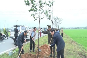 Huế phát động trồng cây đầu xuân Đinh Dậu