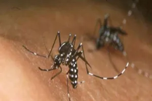 Phát hiện trường hợp nhiễm Zika thứ 7 tại Đồng Nai