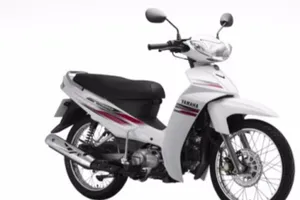 Công an Bà Rịa - Vũng Tàu tìm bị hại trong 3 vụ trộm xe