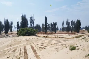 Phú Yên phủ nhận việc phá rừng... để kịp thi hoa hậu