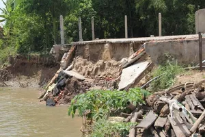 Đồng Tháp có đến 45 xã, phường, thị trấn bị sạt lở