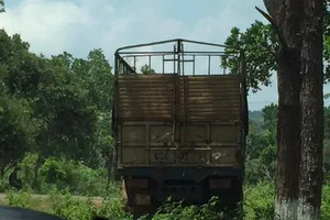 Xe gỗ lậu gần đồn biên phòng, kiểm lâm bị kiểm điểm
