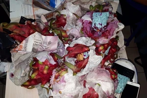 Giấu 5.000 viên ma túy trong ruột thanh long