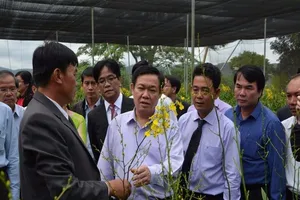 Phó Thủ tướng thăm mô hình sản xuất tại Lâm Đồng