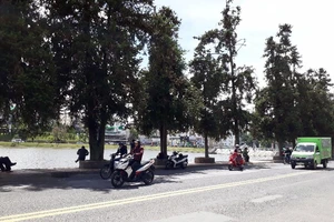 Bão số 12: Đà Lạt trời vẫn đẹp 