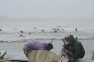Ngư dân Lý Sơn thiệt hại 45 tỉ vì bão số 12 ​