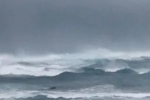 Bão 16 qua Trường Sa cuốn sập pin mặt trời, cây xanh...