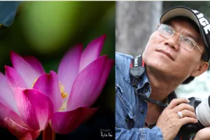 Nghệ sĩ Xuân Anh với 70 bức tranh sen gây quỹ từ thiện