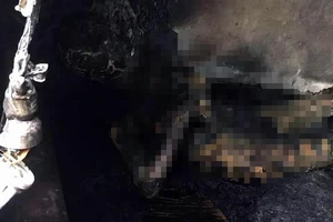 Cụ bà 94 tuổi chết cháy thương tâm