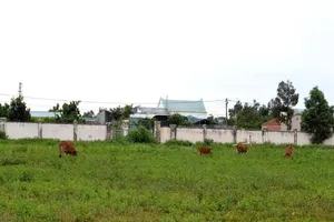 8 thanh niên xông vào bệnh viện bắt người đem đi đánh