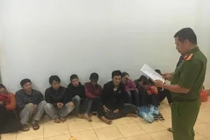 Ổ bạc trong rẫy cà phê 