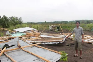 Lốc xoáy quét qua Bù Đốp dỡ hàng chục nóc nhà dân