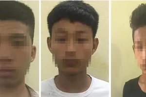 2 thiếu niên theo băng cướp giật tài sản