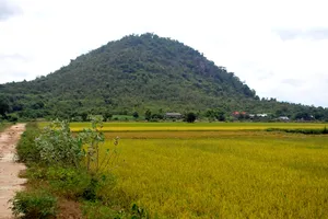 Thương tâm: 2 ông cháu bị sét đánh tử vong khi đi chăn dê