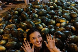 Danh hài Thúy Nga bị trộm, sao Việt mua dưa hấu, quà Valentine