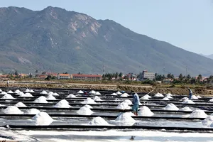 Cảnh đẹp nao lòng ở cánh đồng muối Ninh Diêm, Khánh Hòa