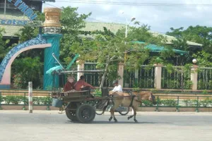 Nhắc đến xe ngựa là bụng dạ cồn cào nao nao… nhớ