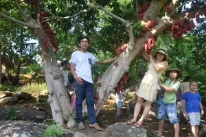 ‘Đà Lạt thứ hai của Việt Nam’ - cao nguyên Vân Hòa 