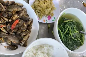 Cá rô ron xóc mắm gừng ngày mưa bão