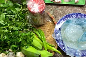 Biến tấu của mì Quảng xứ Quảng còn có món mì sứa