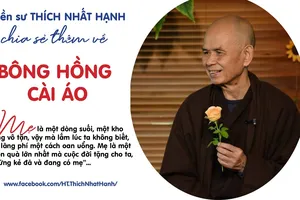Thiền sư Thích Nhất Hạnh với 'Bông hồng cài áo' ngày lễ Vu Lan