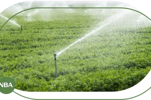 Béc tưới cây tự động chuyên nghiệp - Đưa hiện đại hóa vào nhà vườn nâng cao năng suất